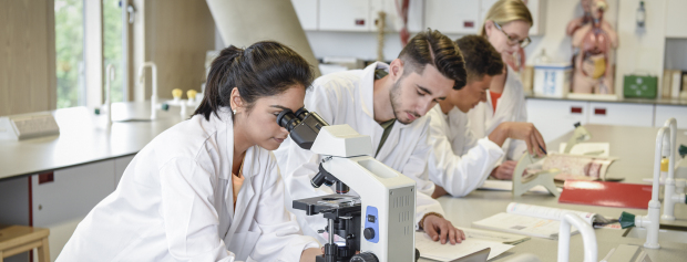 Studerende analyserer mikrobiologiske prøver